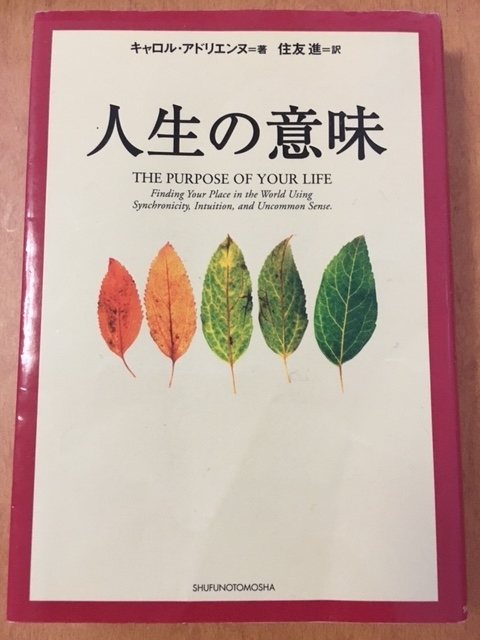 人生の意味 （キャロル・アドリエンヌ 著）